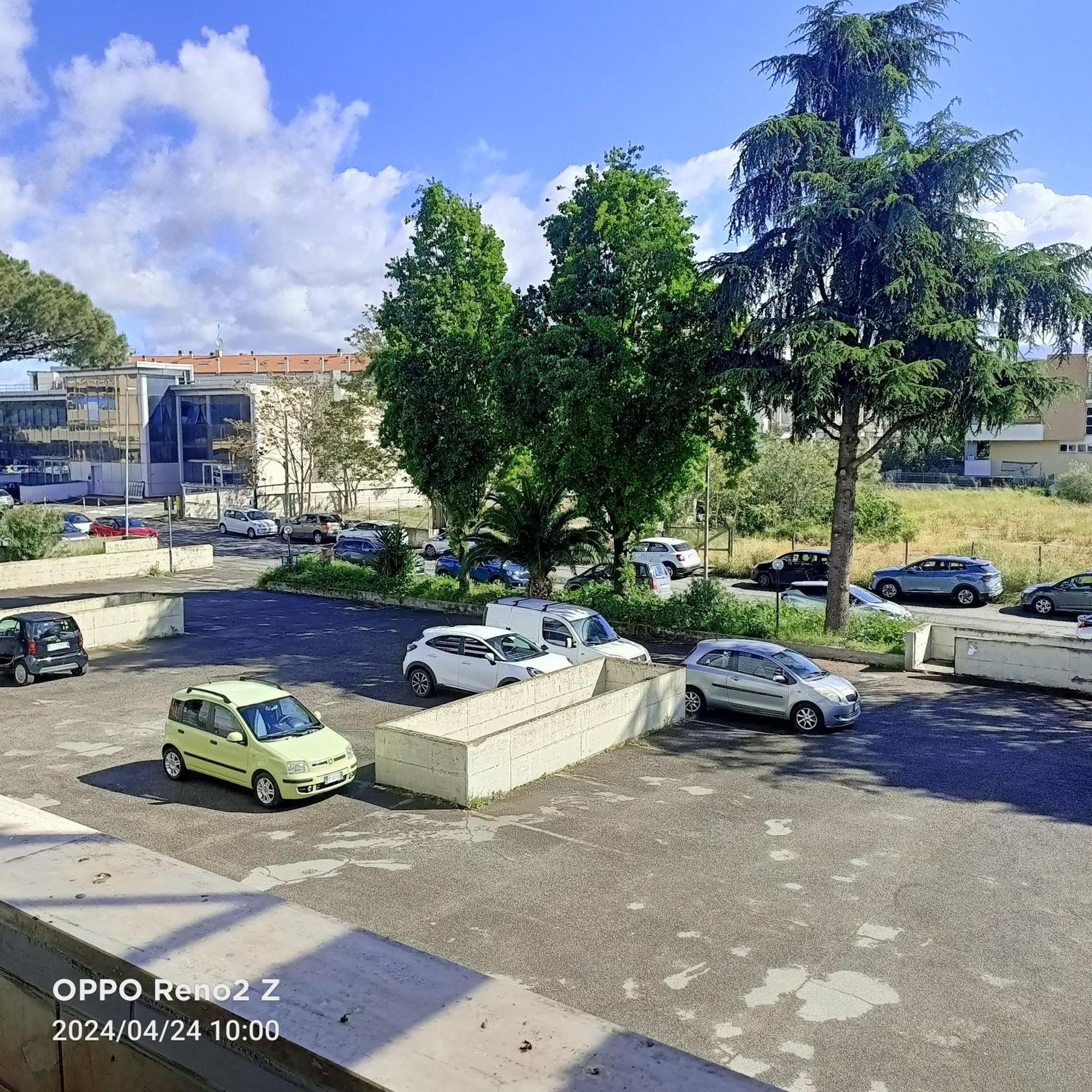 Casa Francesco Daire Roma Dış mekan fotoğraf